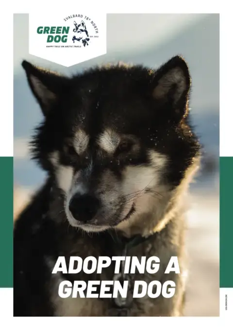 Forside til Adopting a Green Dog PDF