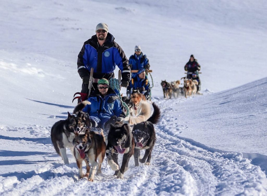 Halvdags hundesledetur i Bolterdalen NO
