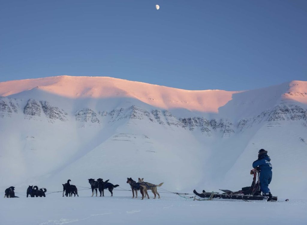 Halvdags hundesledetur i Bolterdalen NO