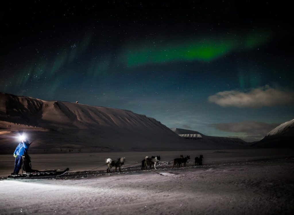 Nordlyssafari med hundespann NO